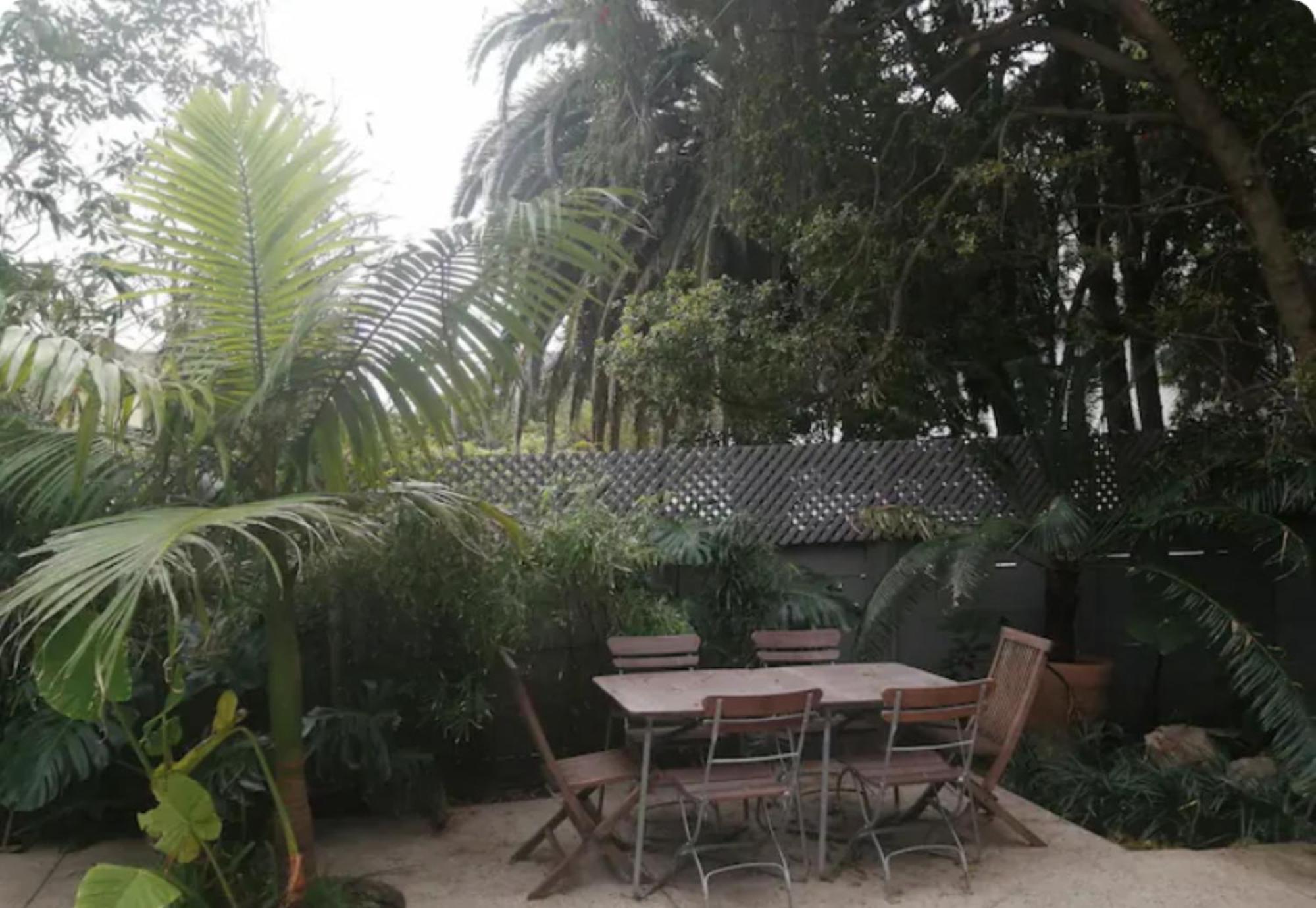 Cape Standard Guest House Cape Town Ngoại thất bức ảnh