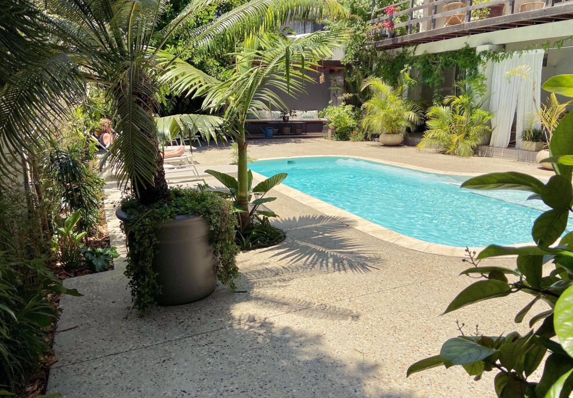 Cape Standard Guest House Cape Town Ngoại thất bức ảnh