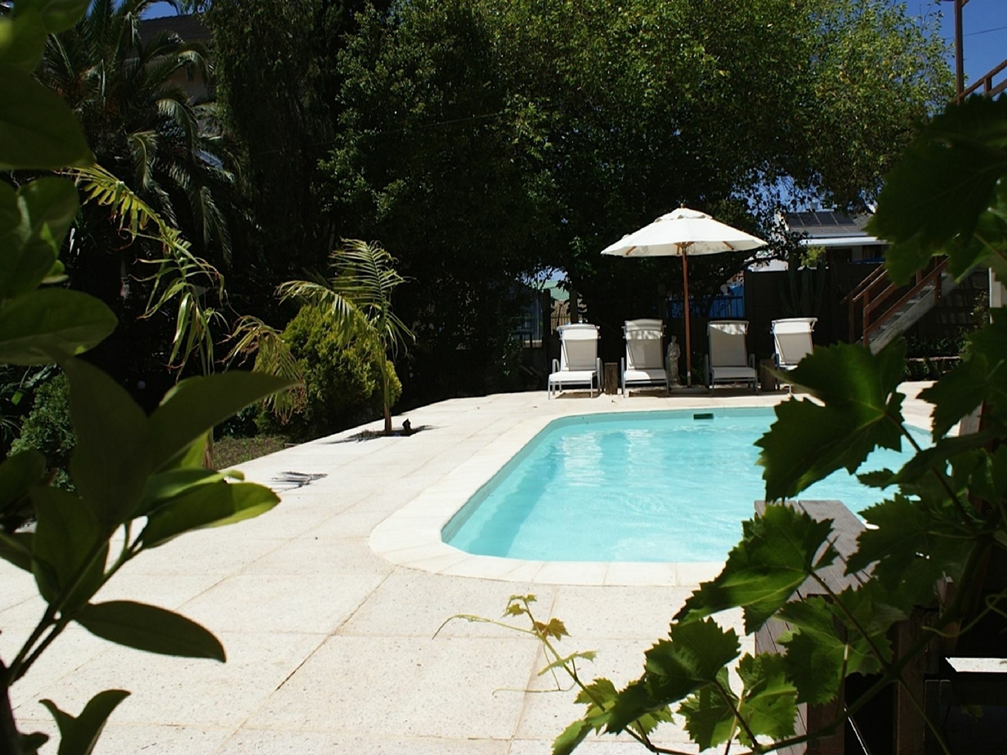 Cape Standard Guest House Cape Town Ngoại thất bức ảnh